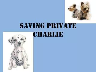 Saving Private Charlie