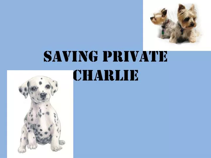 saving private charlie