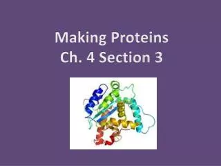 Making Proteins Ch. 4 Section 3