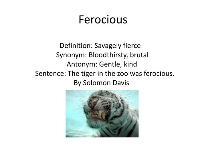 FIERCE definition and meaning