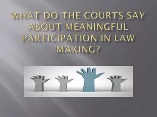 what do the courts say about meaningful participation IN LAW MAKING?