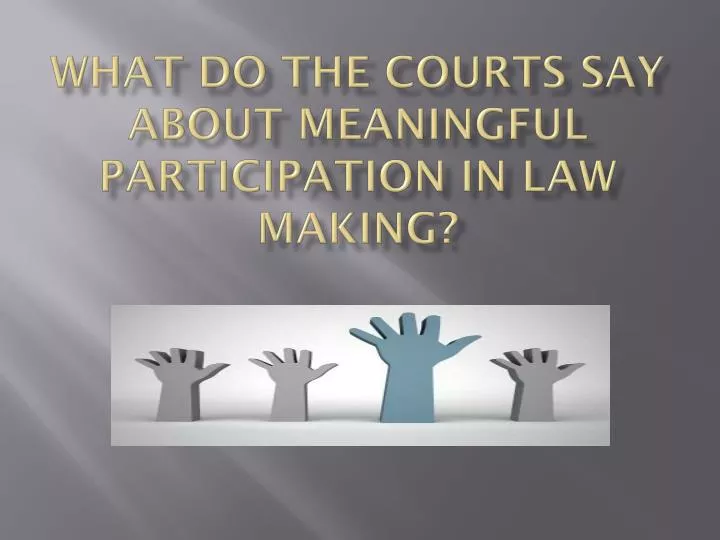 what do the courts say about meaningful participation in law making