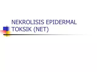 nekrolisis epidermal toksik net