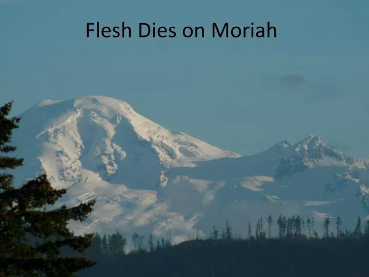 flesh dies on moriah