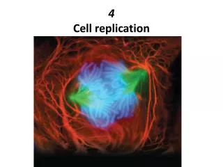 4 Cell replication
