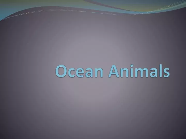 ocean animals