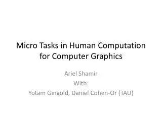 Micro Tasks in Human Computation for Computer Graphics