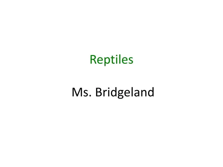 reptiles ms bridgeland