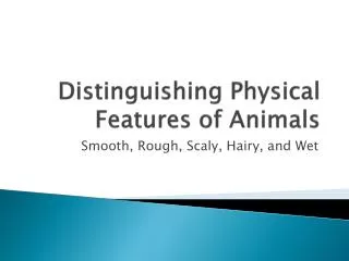 Distinguishing Physical Features of Animals