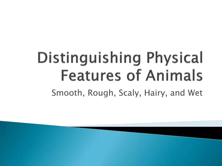 distinguishing physical features of animals