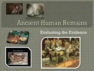Ancient Human Remains