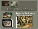 Ancient Human Remains - slide 1