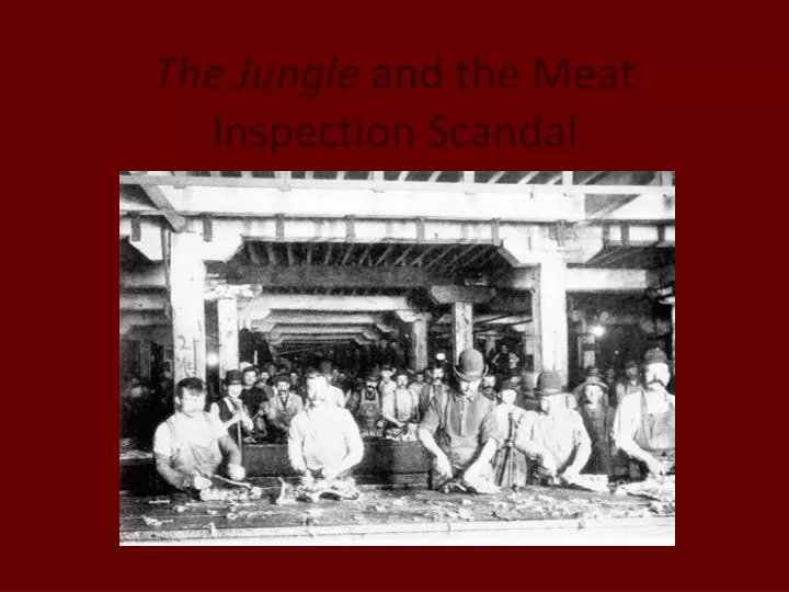 the jungle and the meat inspection scandal