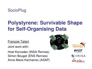 Polystyrene: Survivable Shape for Self-Organising Data