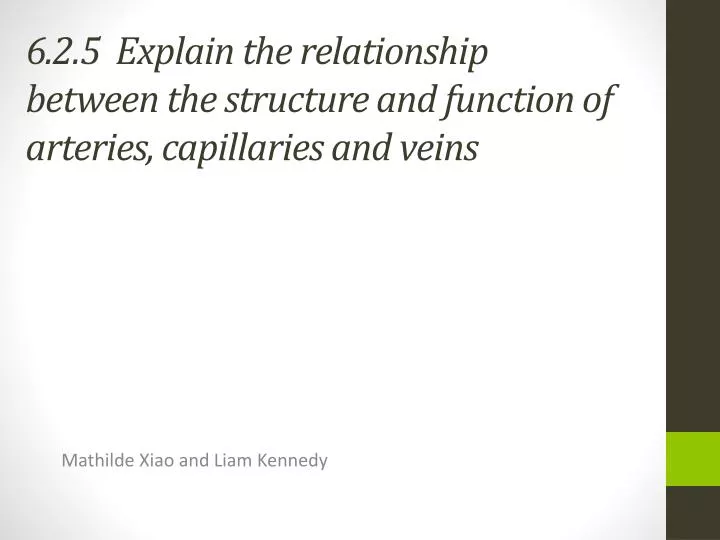 6 2 5 explain the relationship between the structure and function of arteries capillaries and veins