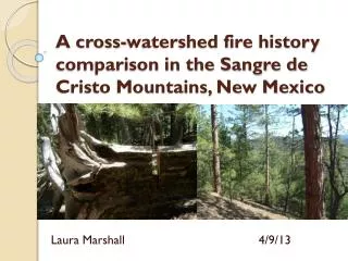 A cross-watershed fire history comparison in the Sangre de Cristo Mountains, New Mexico