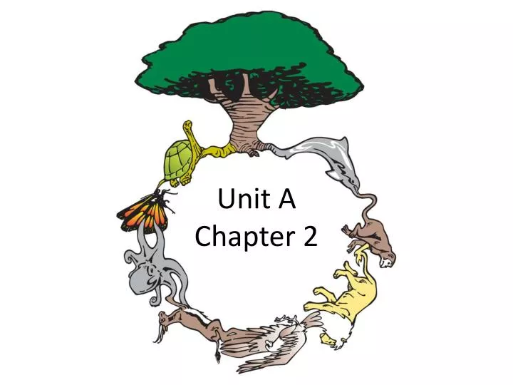 unit a chapter 2