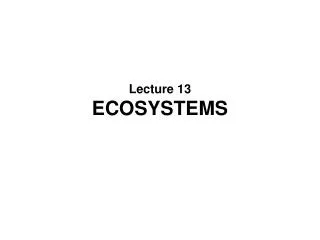 lecture 13 ecosystems