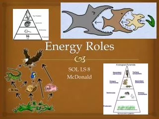 Energy Roles