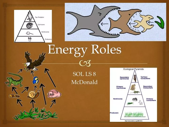 energy roles