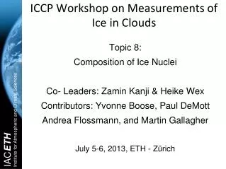 ICCP Workshop on Measurements of Ice in Clouds