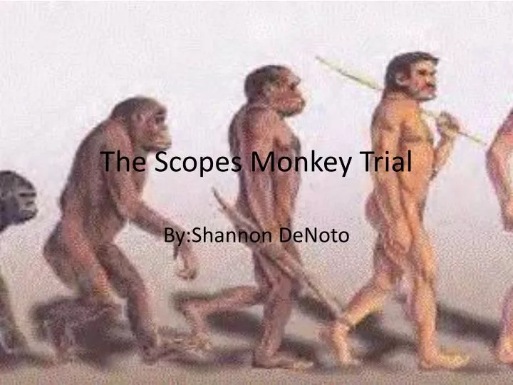 the scopes monkey trial