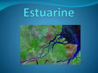 Estuarine