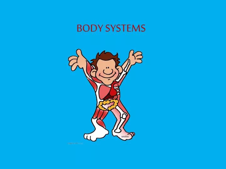 body systems