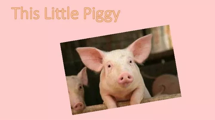 this little piggy