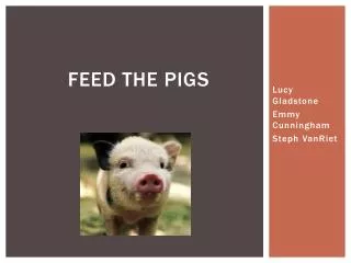 Feed the pigs