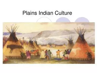 Plains Indian Culture