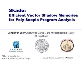 Skadu : Efficient Vector Shadow Memories for Poly- Scopic Program Analysis