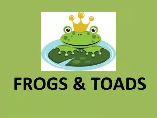 FROGS &amp; TOADS