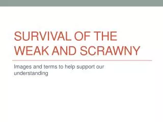 Survival of the weak and Scrawny