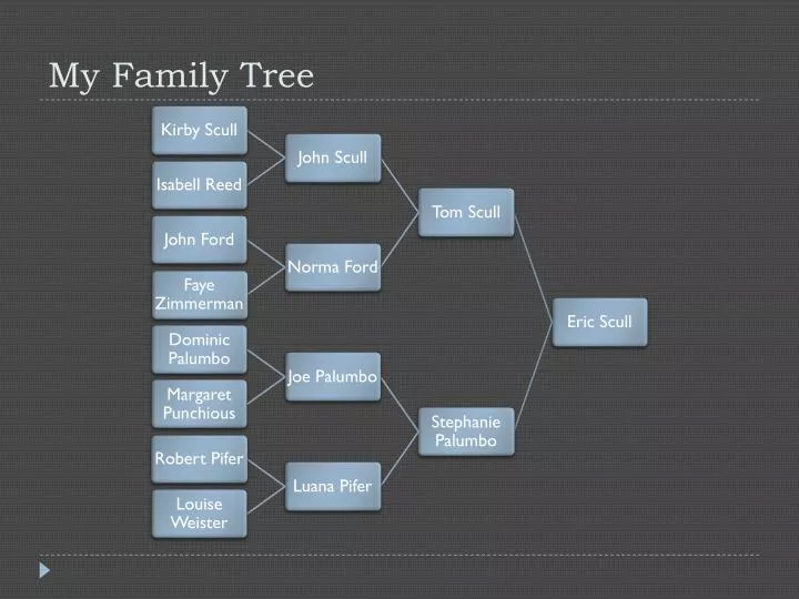 my family tree