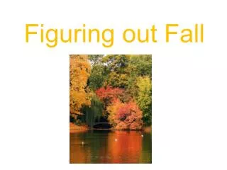 Figuring out Fall