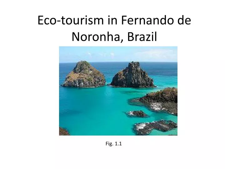 eco tourism in fernando de noronha brazil