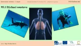 95 1 d chac soustava