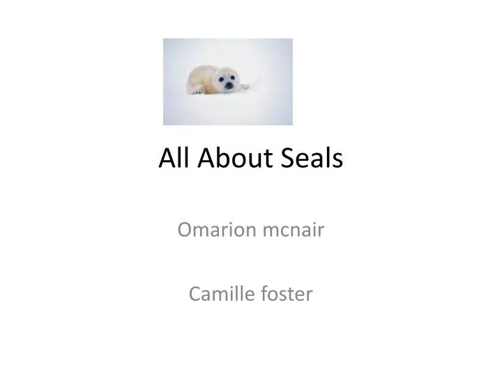 all about seals