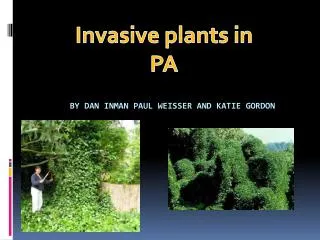 by dan inman paul weisser and katie gordon