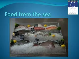 food from the sea
