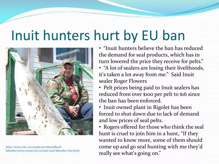 inuit hunters hurt by eu ban