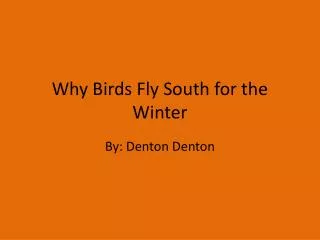 Why Birds Fly South for the Winter