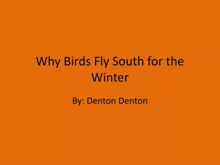 why birds fly south for the winter