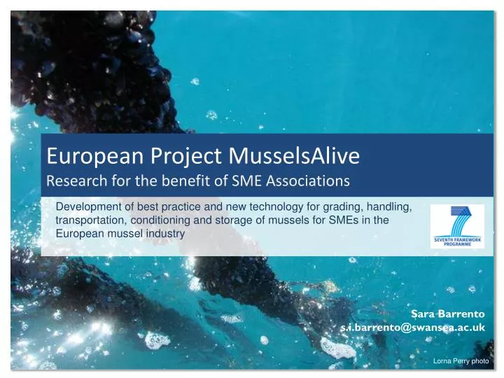 european project musselsalive research for the benefit of sme associations