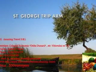 St. George trip arm