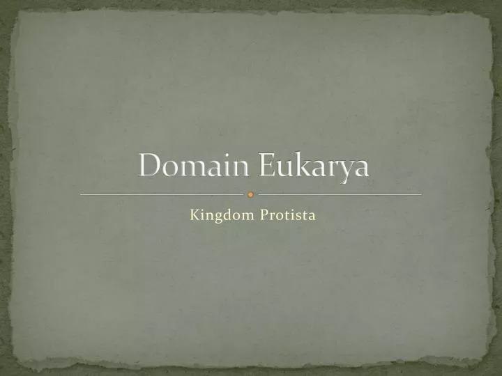 domain eukarya