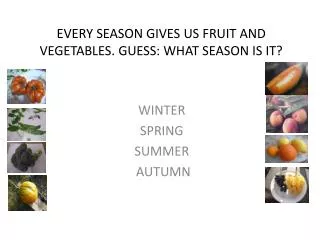 EVERY SEASON GIVES US FRUIT AND VEGETABLES. GUESS: WHAT SEASON IS IT?