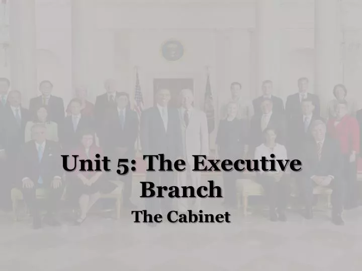 unit 5 the executive branch