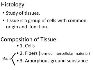 Histology